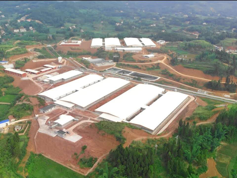 大型品牌養(yǎng)豬場(chǎng)防腐板